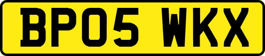 BP05WKX
