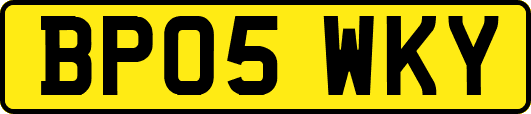 BP05WKY