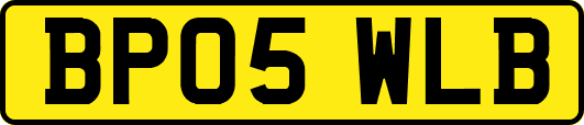 BP05WLB