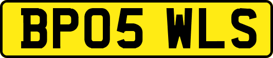 BP05WLS