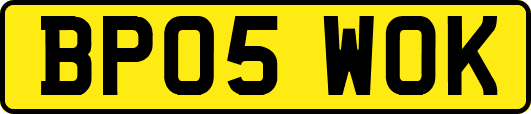BP05WOK