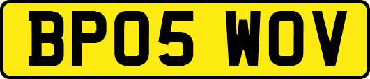 BP05WOV