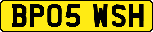 BP05WSH