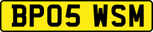 BP05WSM