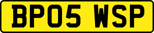 BP05WSP
