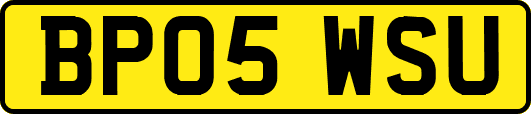 BP05WSU