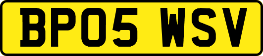 BP05WSV