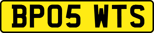 BP05WTS