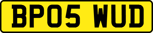 BP05WUD