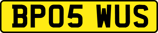 BP05WUS