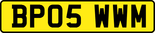 BP05WWM