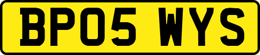 BP05WYS