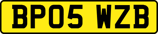 BP05WZB