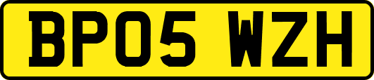 BP05WZH