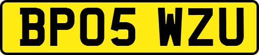 BP05WZU