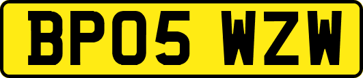 BP05WZW