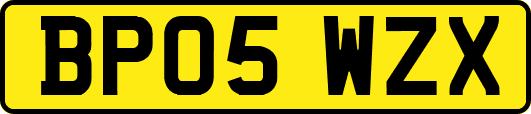 BP05WZX