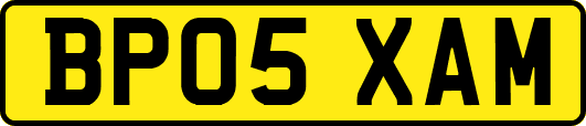 BP05XAM