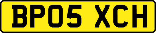 BP05XCH