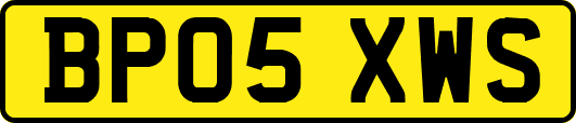 BP05XWS