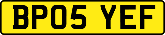 BP05YEF