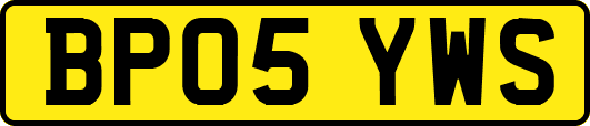 BP05YWS