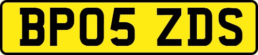 BP05ZDS
