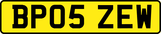 BP05ZEW