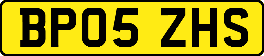 BP05ZHS