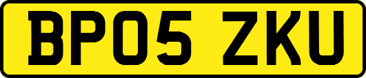 BP05ZKU