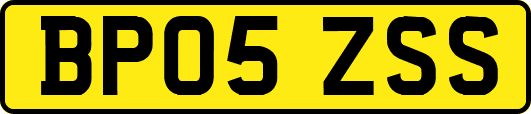 BP05ZSS