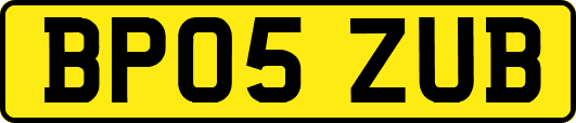 BP05ZUB