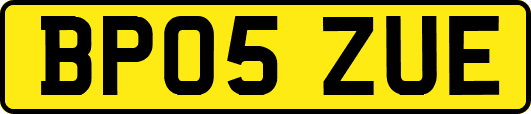 BP05ZUE