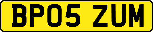 BP05ZUM
