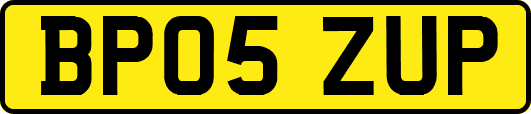 BP05ZUP