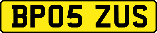 BP05ZUS