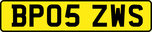BP05ZWS