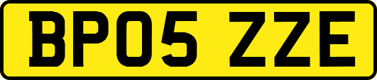 BP05ZZE
