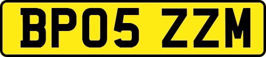 BP05ZZM