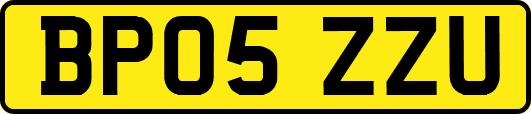 BP05ZZU