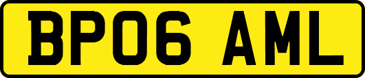 BP06AML