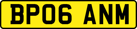 BP06ANM