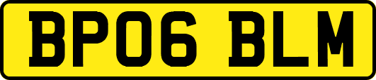 BP06BLM