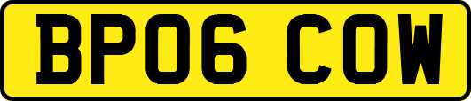 BP06COW