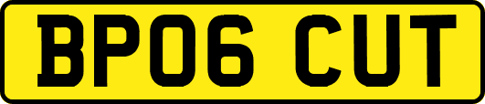 BP06CUT