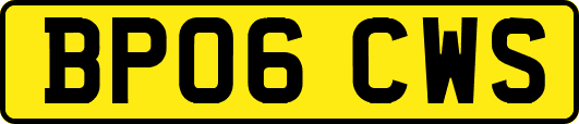 BP06CWS