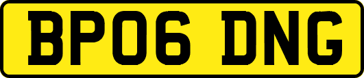 BP06DNG