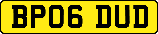 BP06DUD
