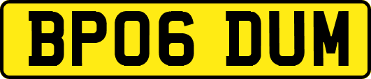 BP06DUM