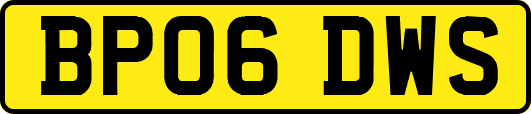 BP06DWS